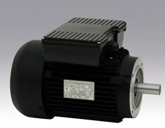 YL series dual-capacitor single phase motors