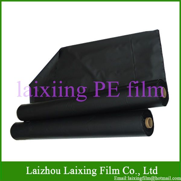 Laixing Moisture Proof Building Film