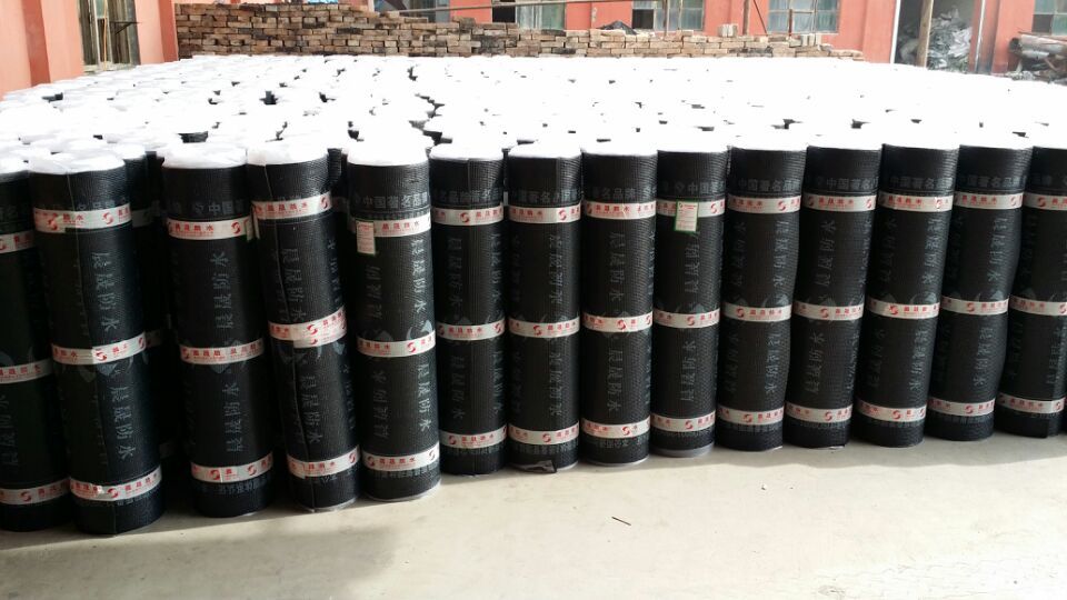 SBS/App modified bitumen waterproof membrane