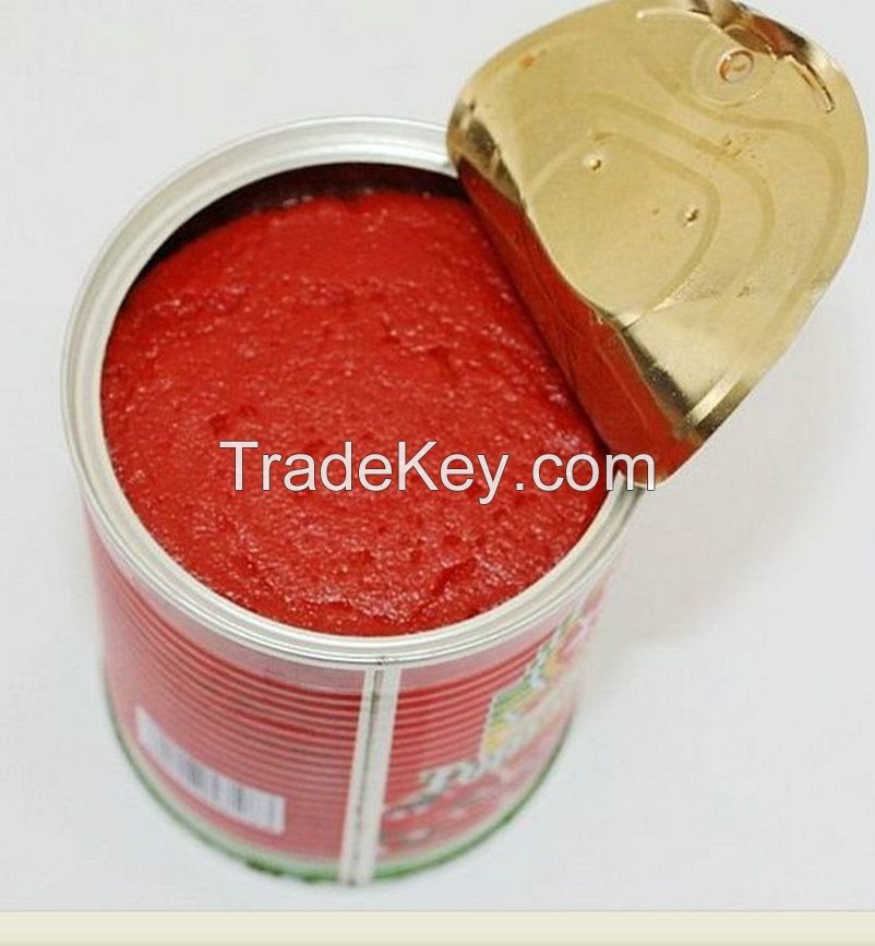 800g tomato paste