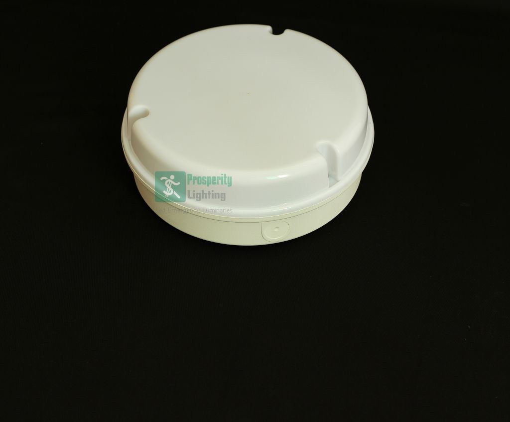 Emergency Ceiling Light