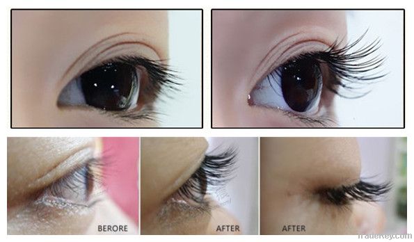 real+eyelash enhancer 2014 best lash grower