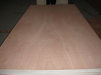 Eucalyptus cored plywood