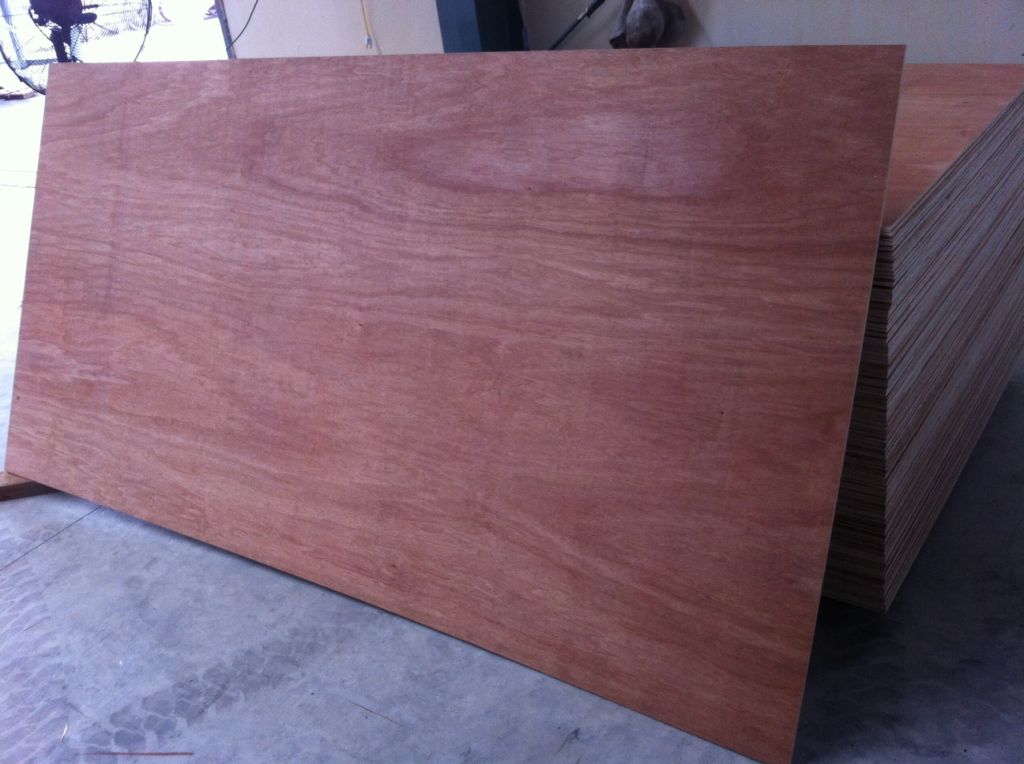 Eucalyptus cored plywood