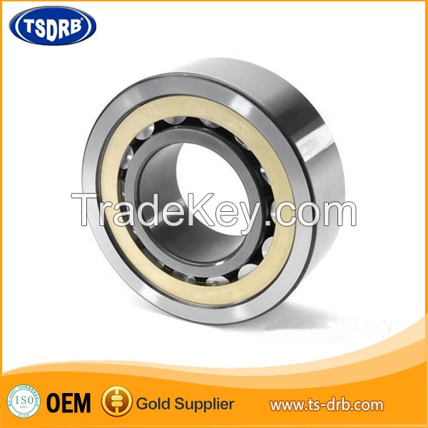 GCr15 Professional HQ Cylindrical Roller Bearing