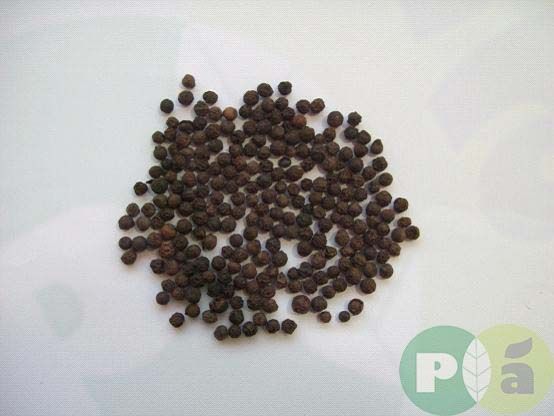 BLACK PEPPER BERRY PURPLE LABEL - GRADE 4