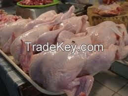 Halal Whole Frozen Chicken Parts &amp; Chicken Feets