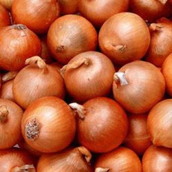 Bellary Onion