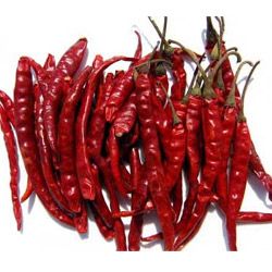 Dry Red Chilli