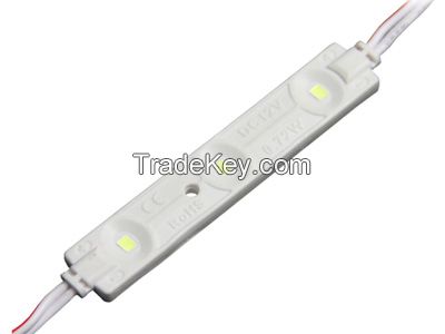 Overmolded Big LED module