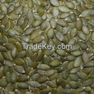 Chinese Pumpkin Seeds Kernel for Exporting
