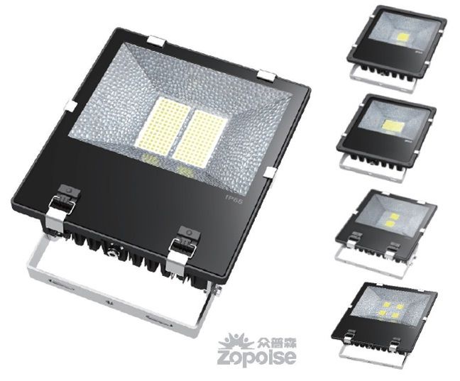 LED Flood Light