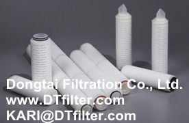 Hydrophobic PTFE-Gas Filter Cartridge