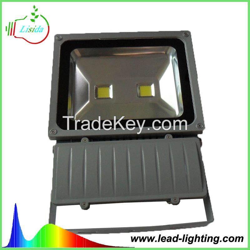 LED Flood Light