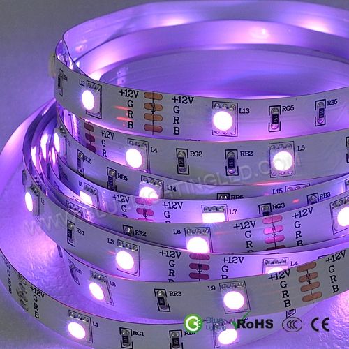 60LEDs/m DC12V SMD5050 Led Strip