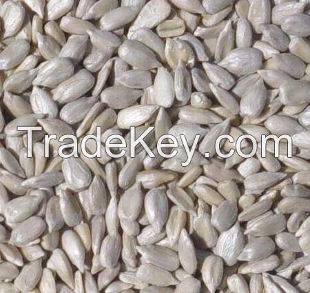 Sunflower  kernels, confectionary 