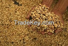 Green Arabica Coffee Beans For Sale   