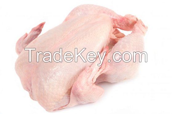 Chicken Meat (Frozen)