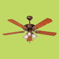 Ceiling Fan