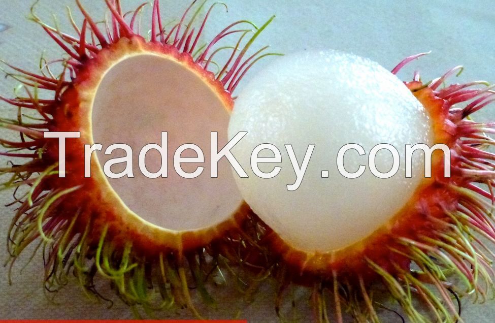 Fresh Rambutan