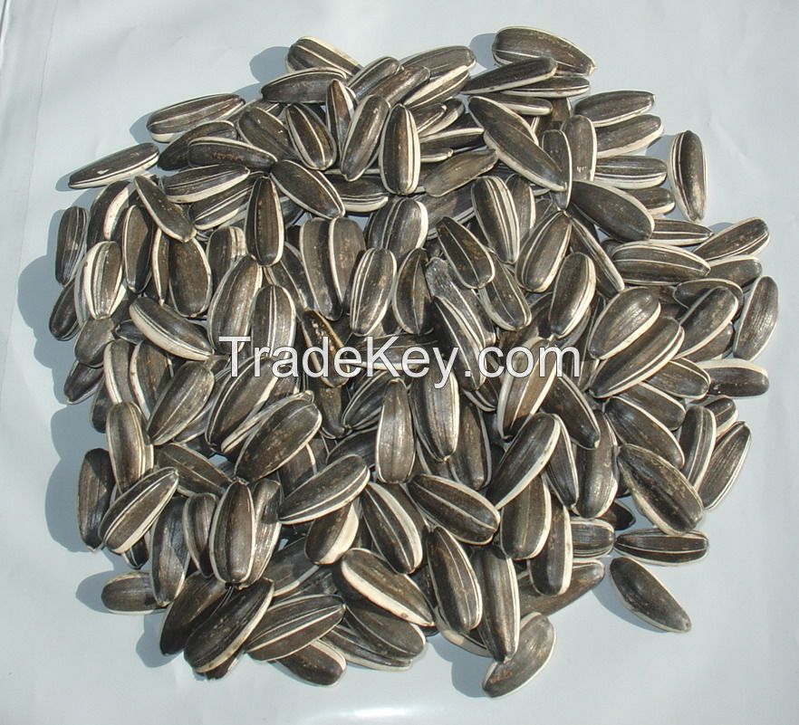 sunflower seeds