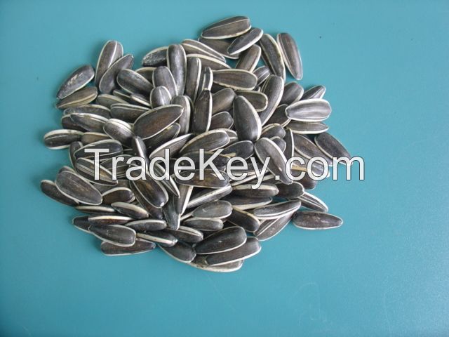 sunflower seeds