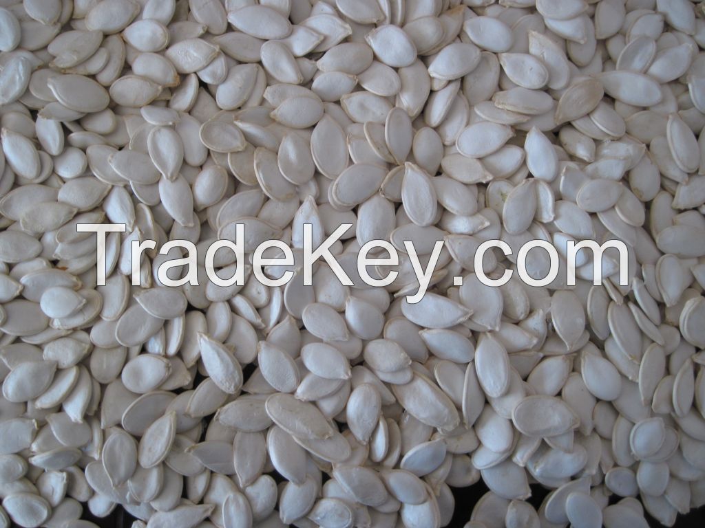 shine skin pumpkin seeds