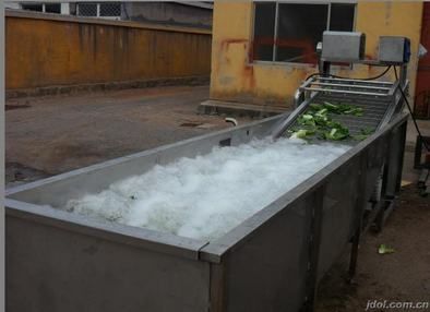 brush vegetable washing machine