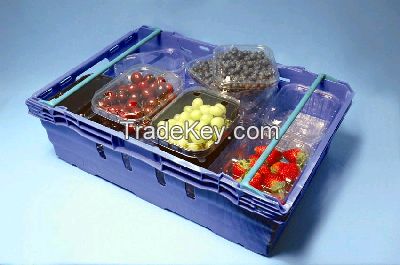 fruit container , food container , clear plastic container