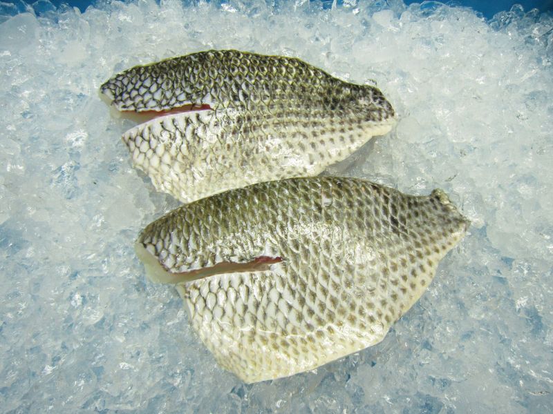 Tilapia fillet skin on