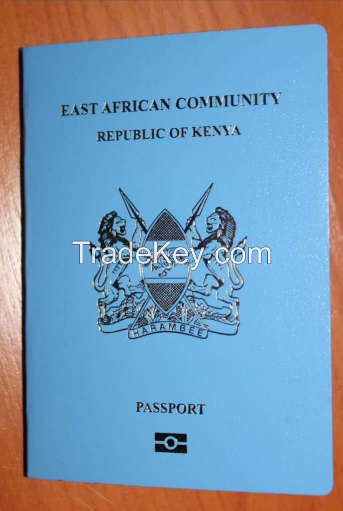 kenyan immigration solutions