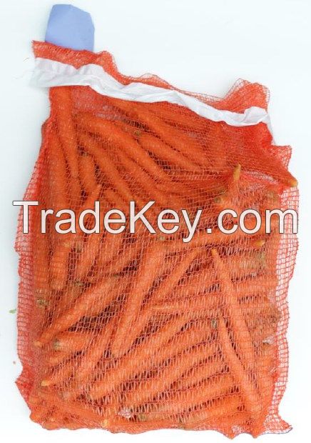 Fresh Polish Carrots