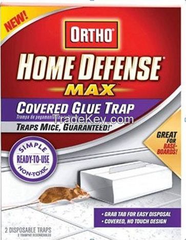 mouse glue trap