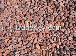 peru high  quality cocoa