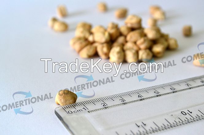 Blanco Sinaloa Chickpeas CIF Jeddah Port