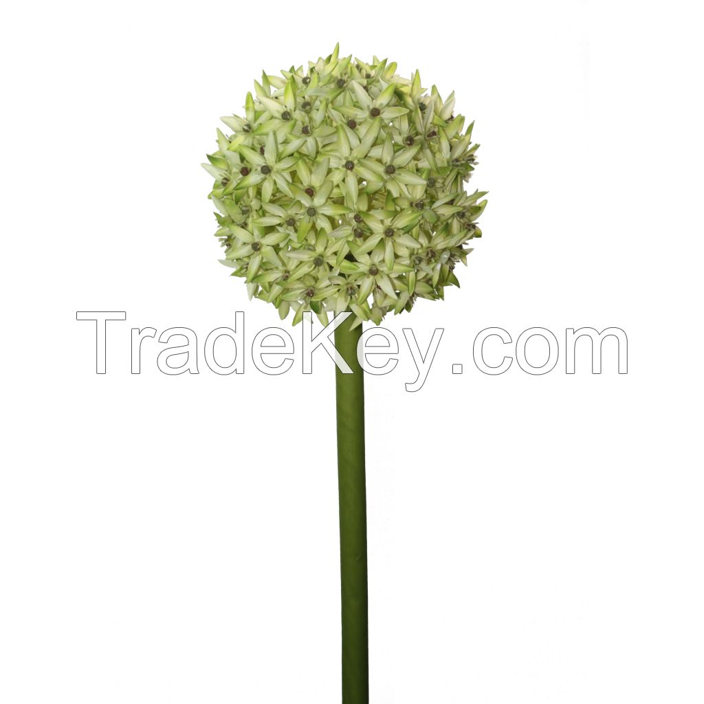 PU Real Touch Flower/Plants