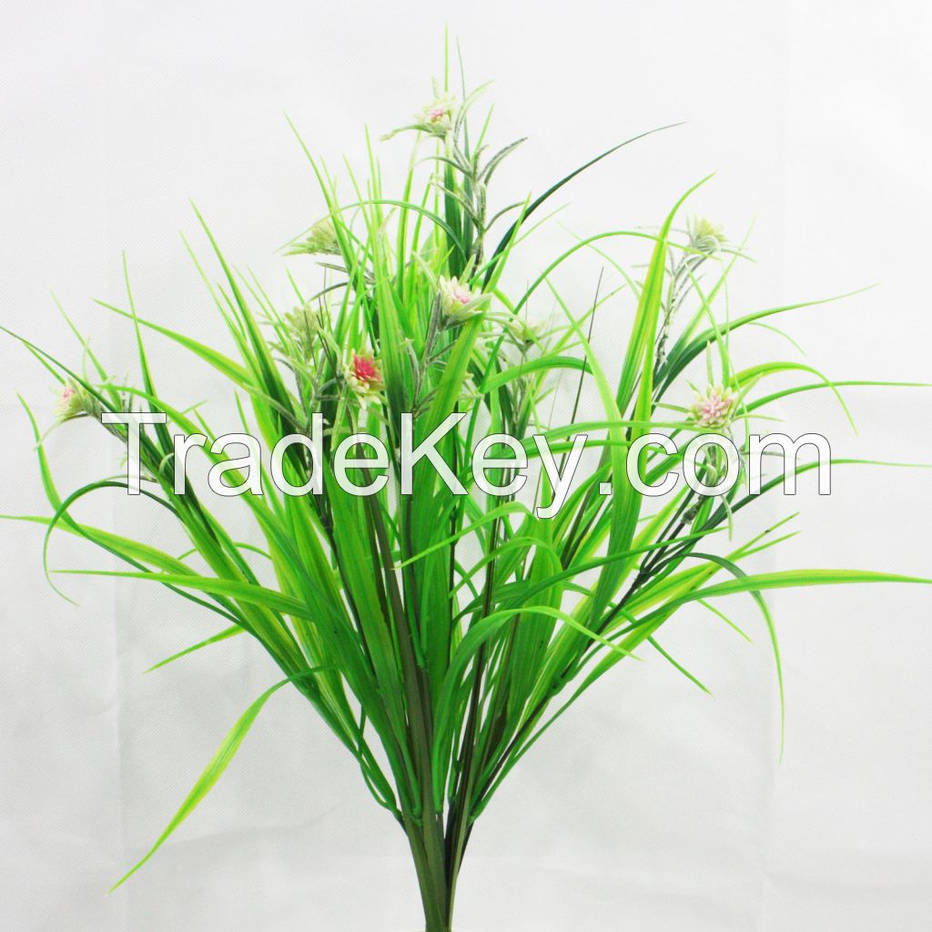 Onion Grass