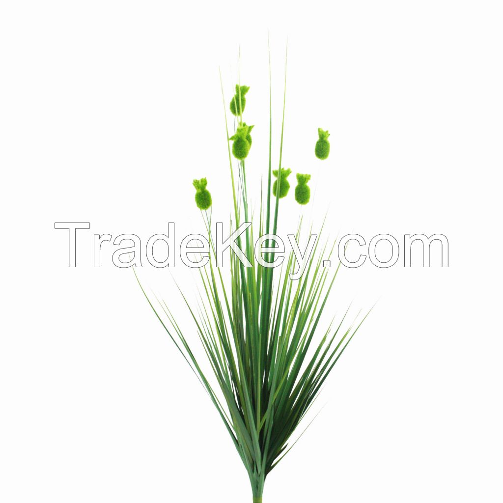 Onion Grass