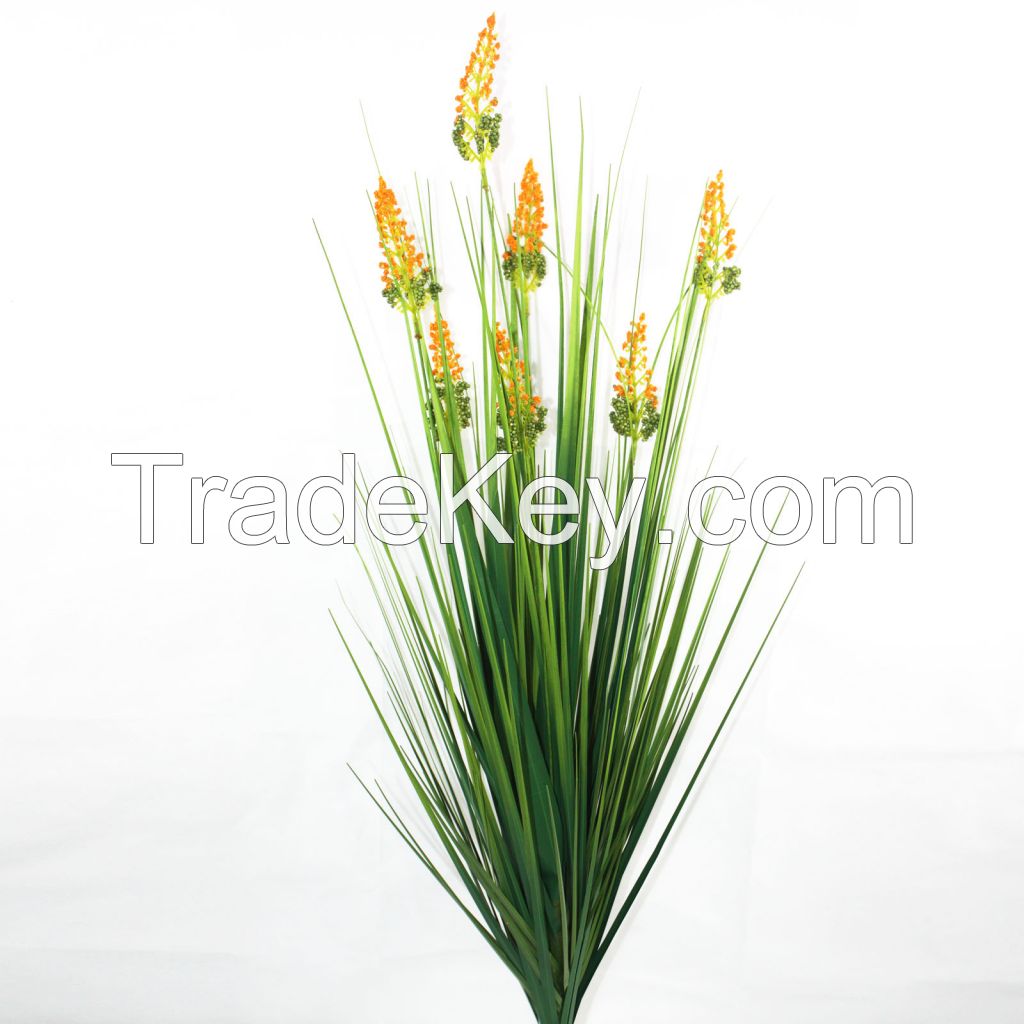 Onion Grass