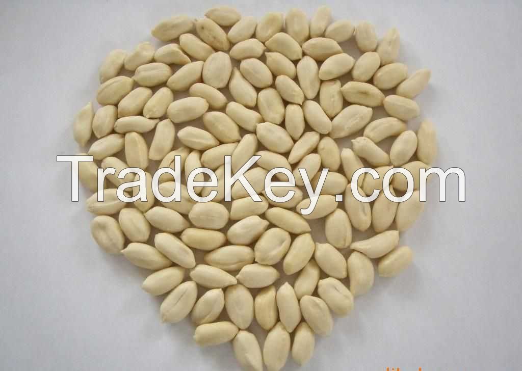 Blanched Peanut Kernels