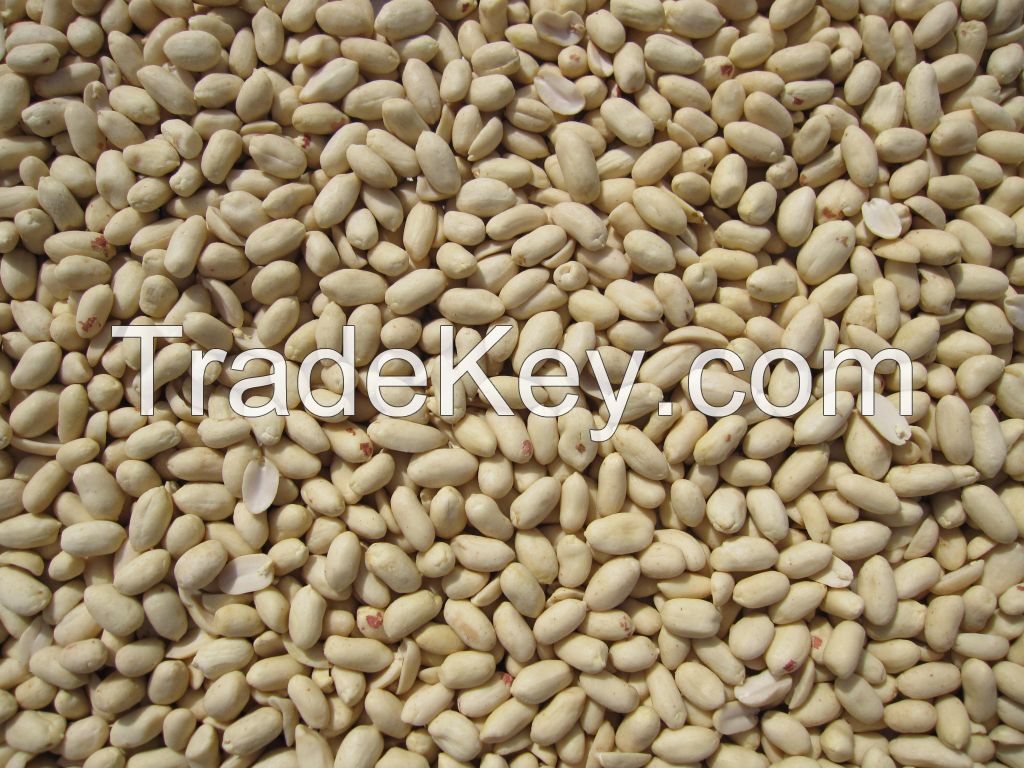 Blanched Peanut Kernels(long shape)