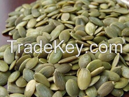 High Quality Shine Skin Pumpkin Seeds