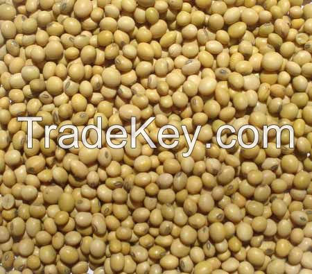 Soybean FOB Odessa Ukraine