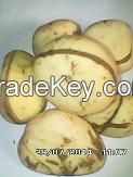 Kola Nut