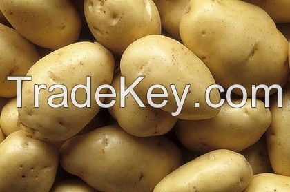 Fresh Potato