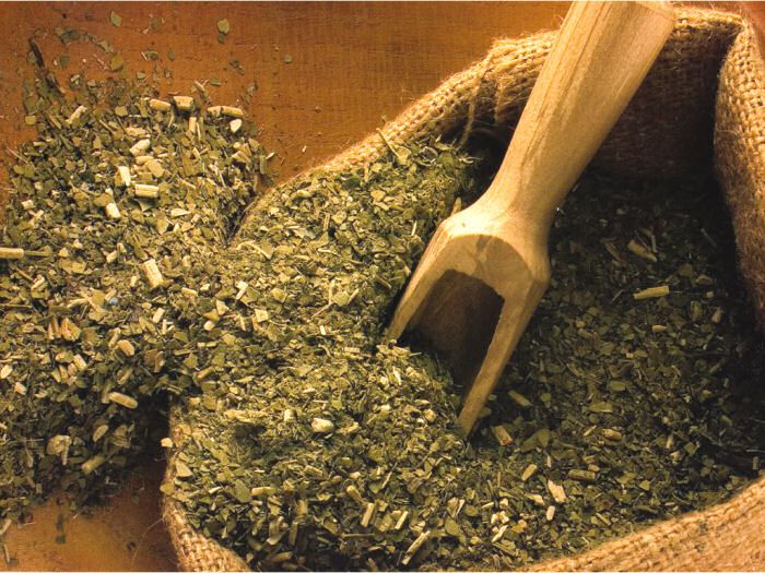 Yerba Mate Organic Fair Trade