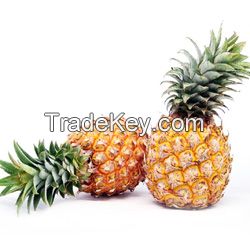 Fresh Pineapple