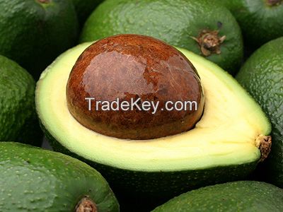 Natural Organic Virgin Avocado Oil