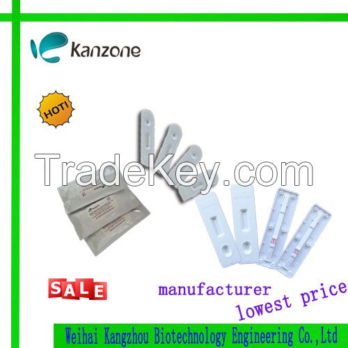 hCG pregnancy test kit cassette 4.0