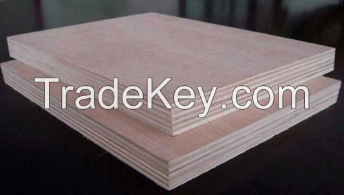 18mm bintangor plywood factory for sale